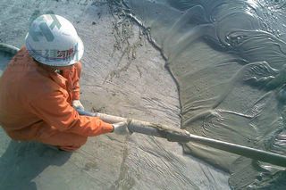 �F����ĭ������